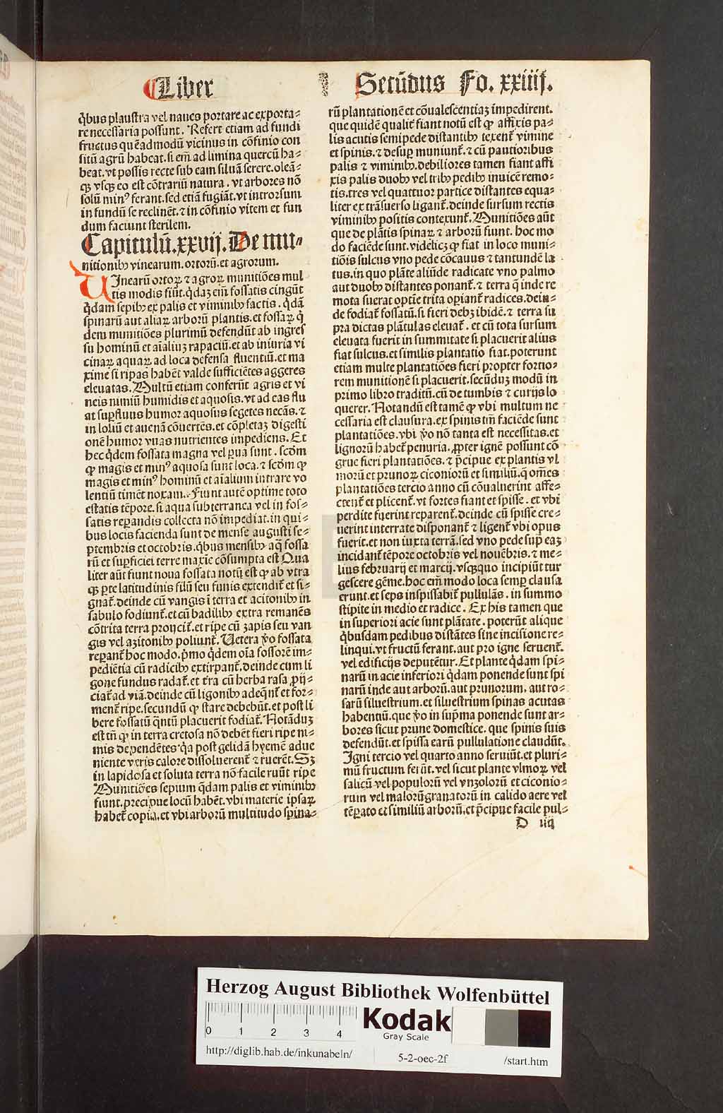 http://diglib.hab.de/inkunabeln/5-2-oec-2f/00051.jpg