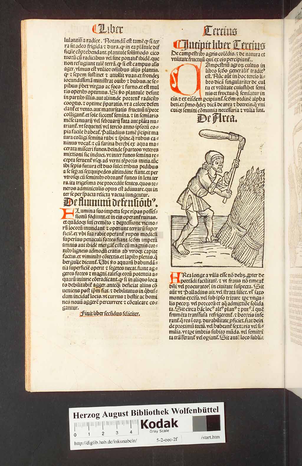 http://diglib.hab.de/inkunabeln/5-2-oec-2f/00052.jpg