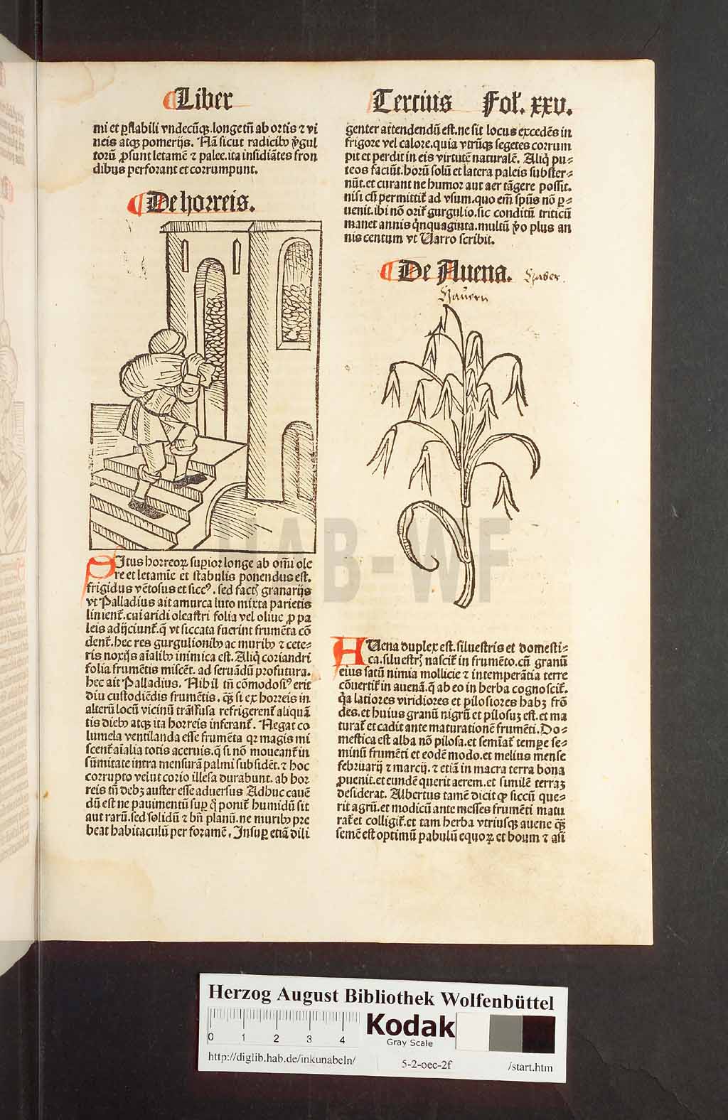 http://diglib.hab.de/inkunabeln/5-2-oec-2f/00053.jpg
