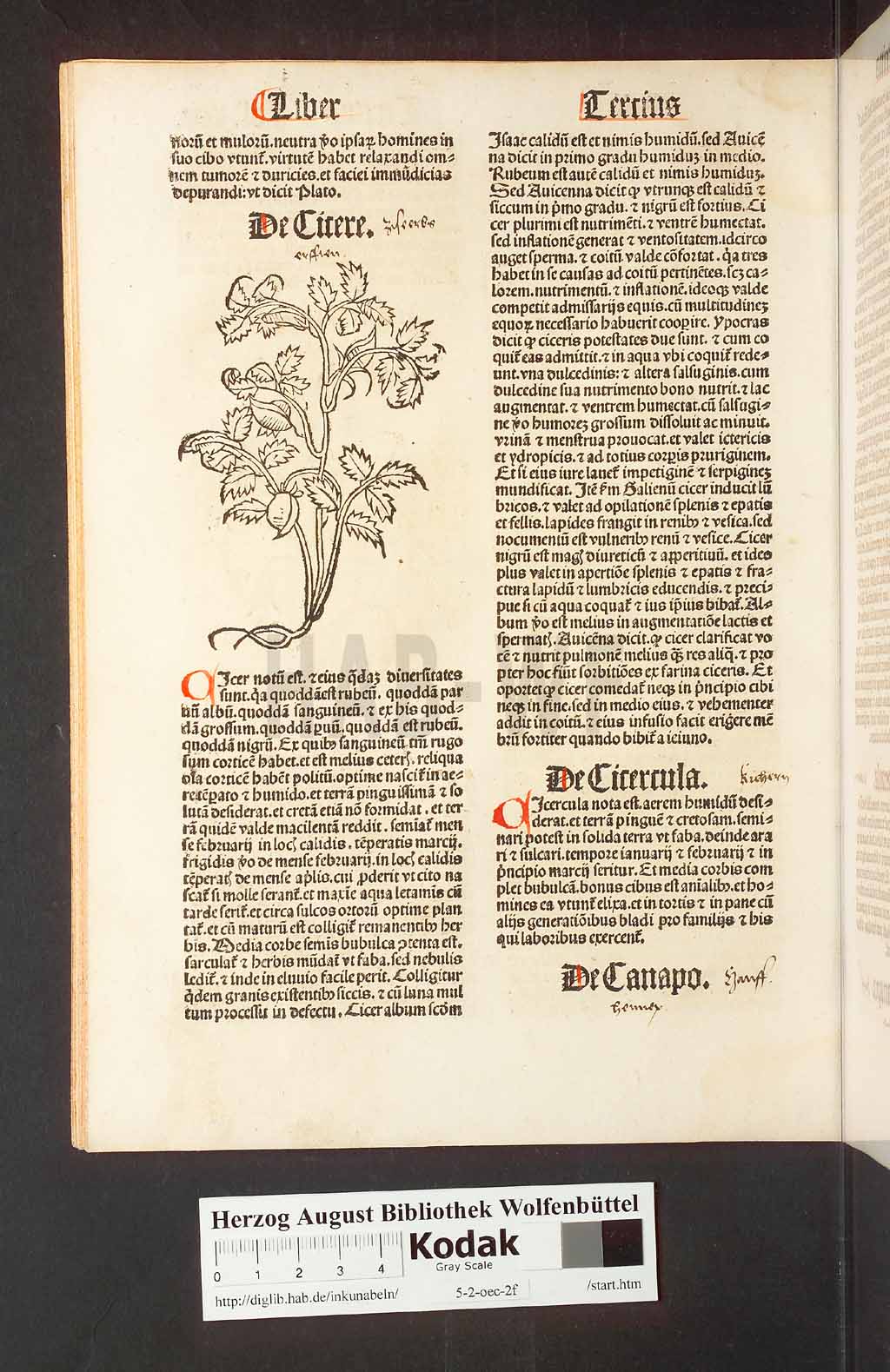 http://diglib.hab.de/inkunabeln/5-2-oec-2f/00054.jpg