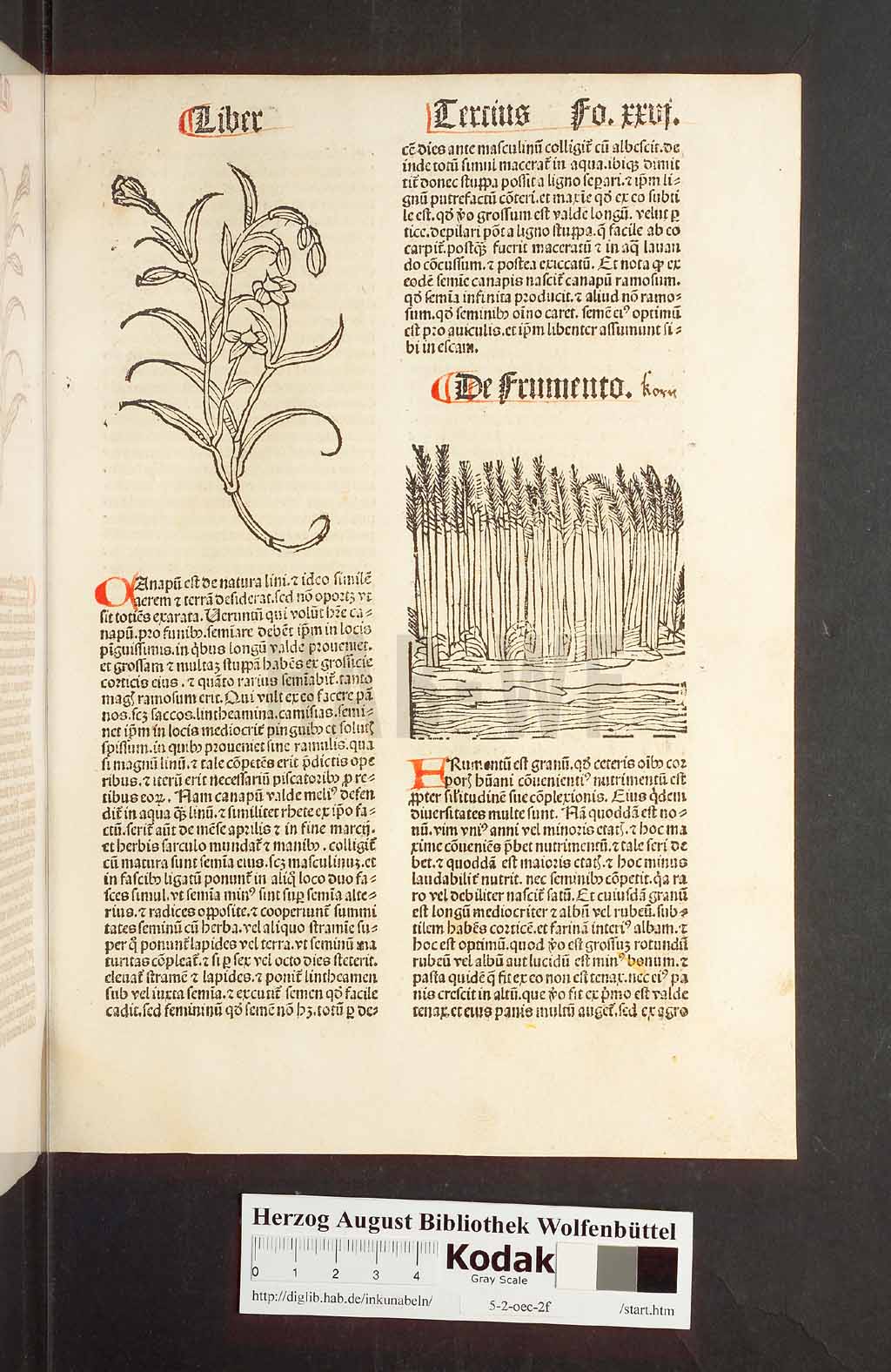 http://diglib.hab.de/inkunabeln/5-2-oec-2f/00055.jpg