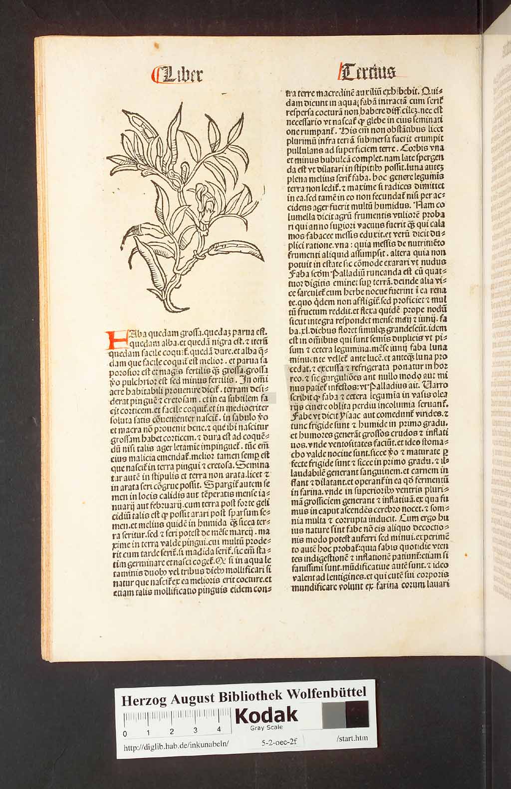 http://diglib.hab.de/inkunabeln/5-2-oec-2f/00058.jpg