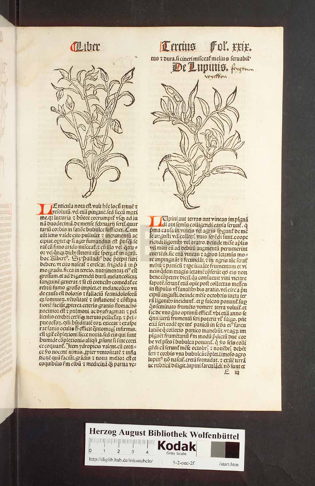 http://diglib.hab.de/inkunabeln/5-2-oec-2f/00061.jpg