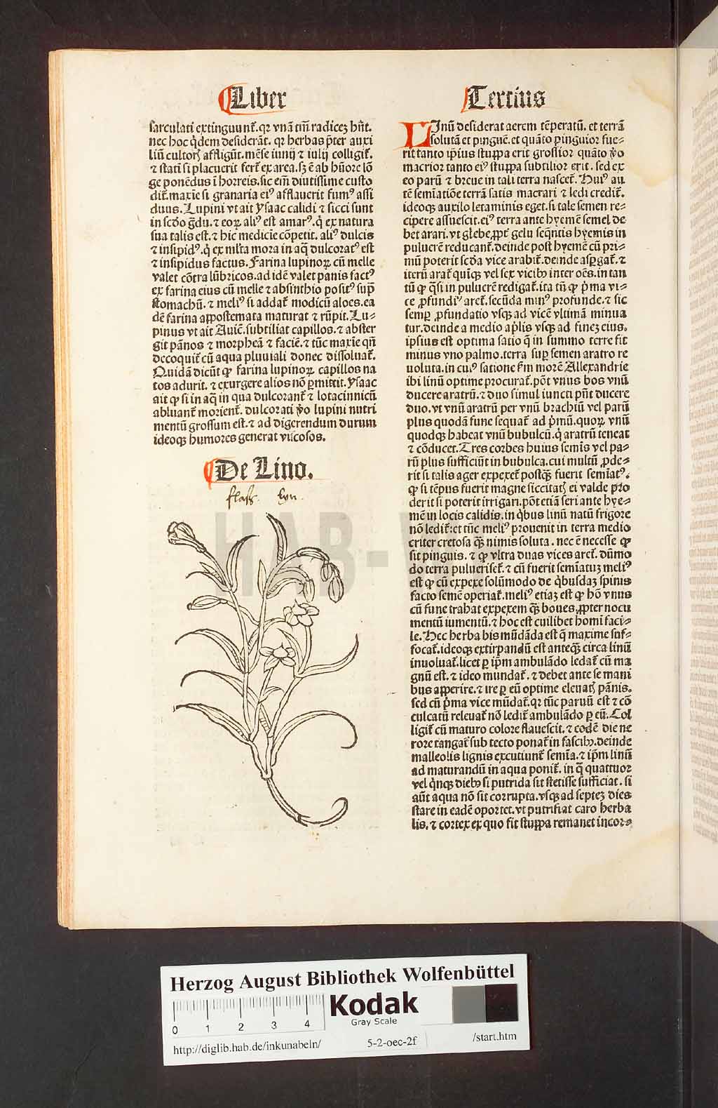 http://diglib.hab.de/inkunabeln/5-2-oec-2f/00062.jpg