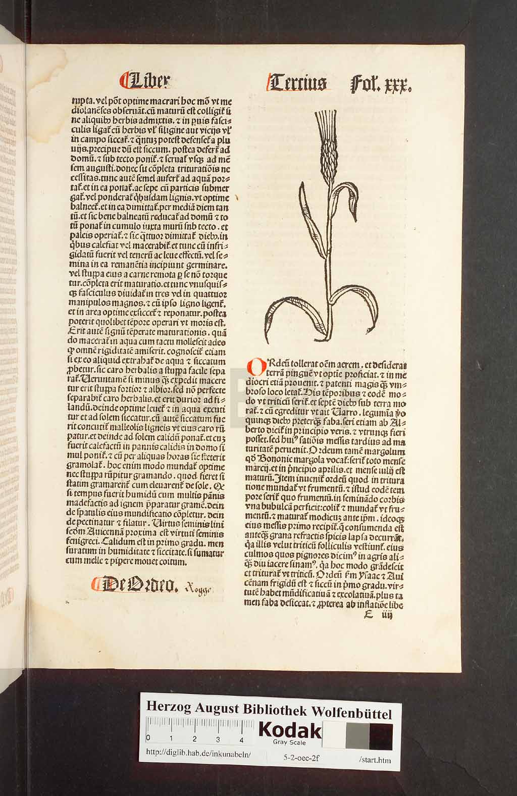 http://diglib.hab.de/inkunabeln/5-2-oec-2f/00063.jpg