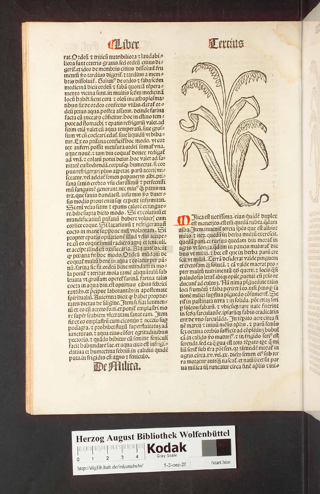 http://diglib.hab.de/inkunabeln/5-2-oec-2f/00064.jpg