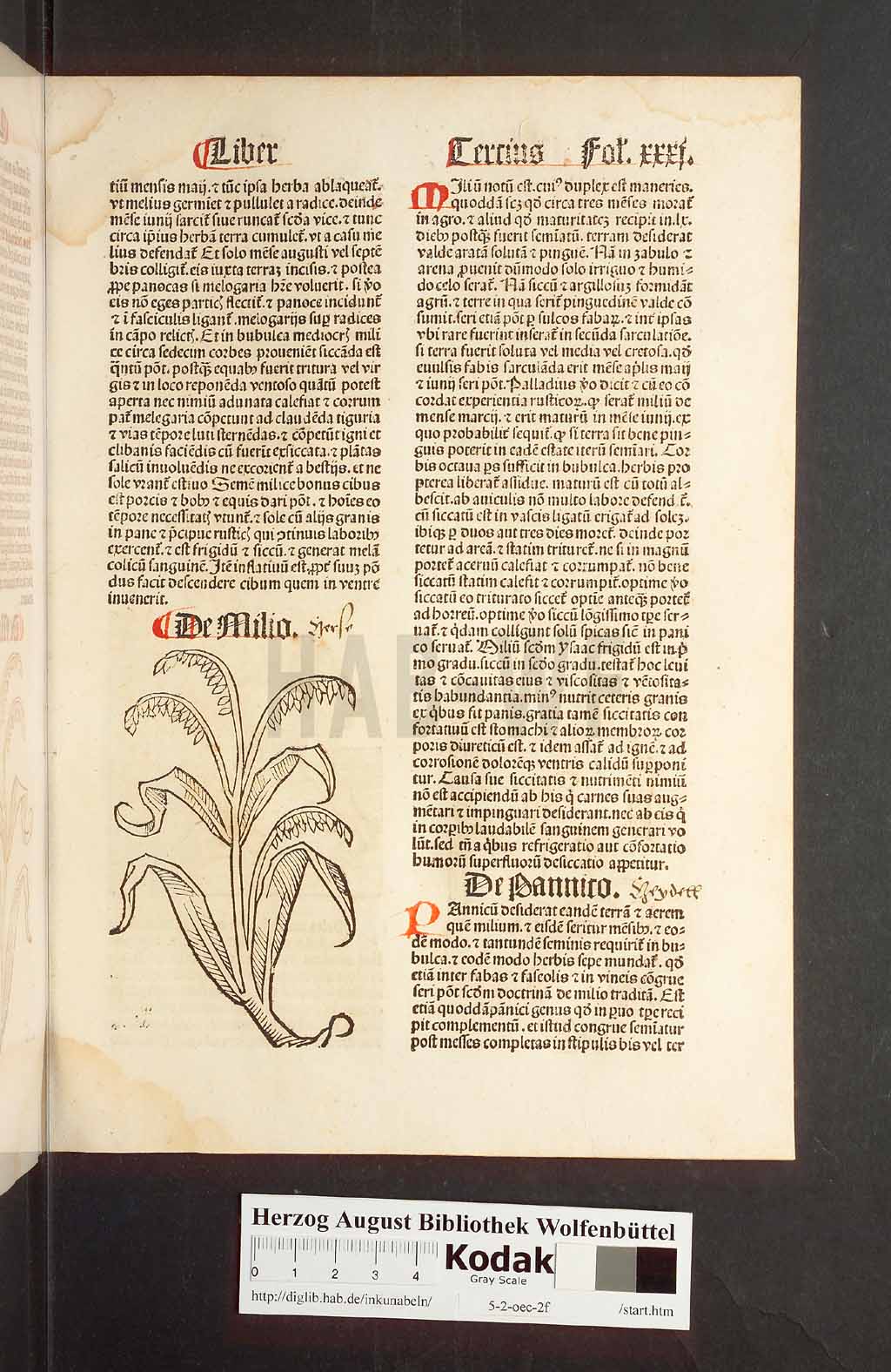 http://diglib.hab.de/inkunabeln/5-2-oec-2f/00065.jpg