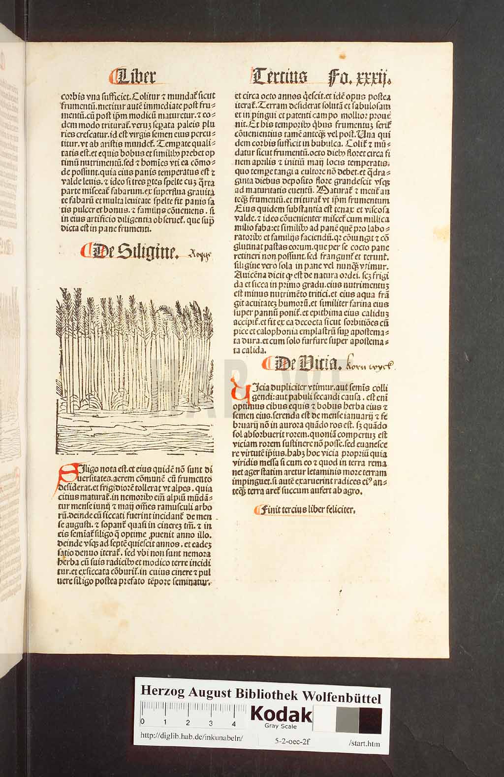 http://diglib.hab.de/inkunabeln/5-2-oec-2f/00067.jpg