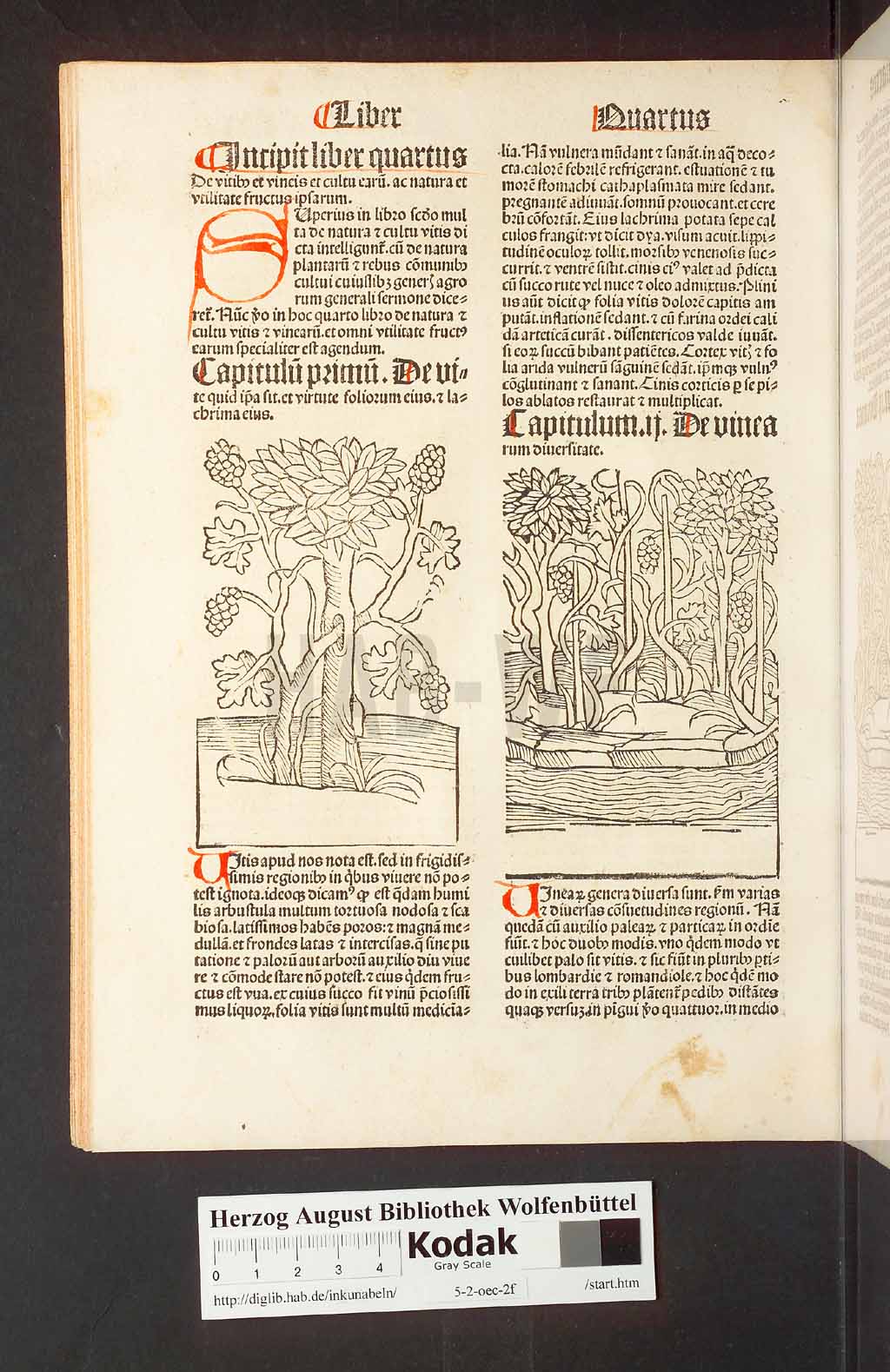 http://diglib.hab.de/inkunabeln/5-2-oec-2f/00068.jpg