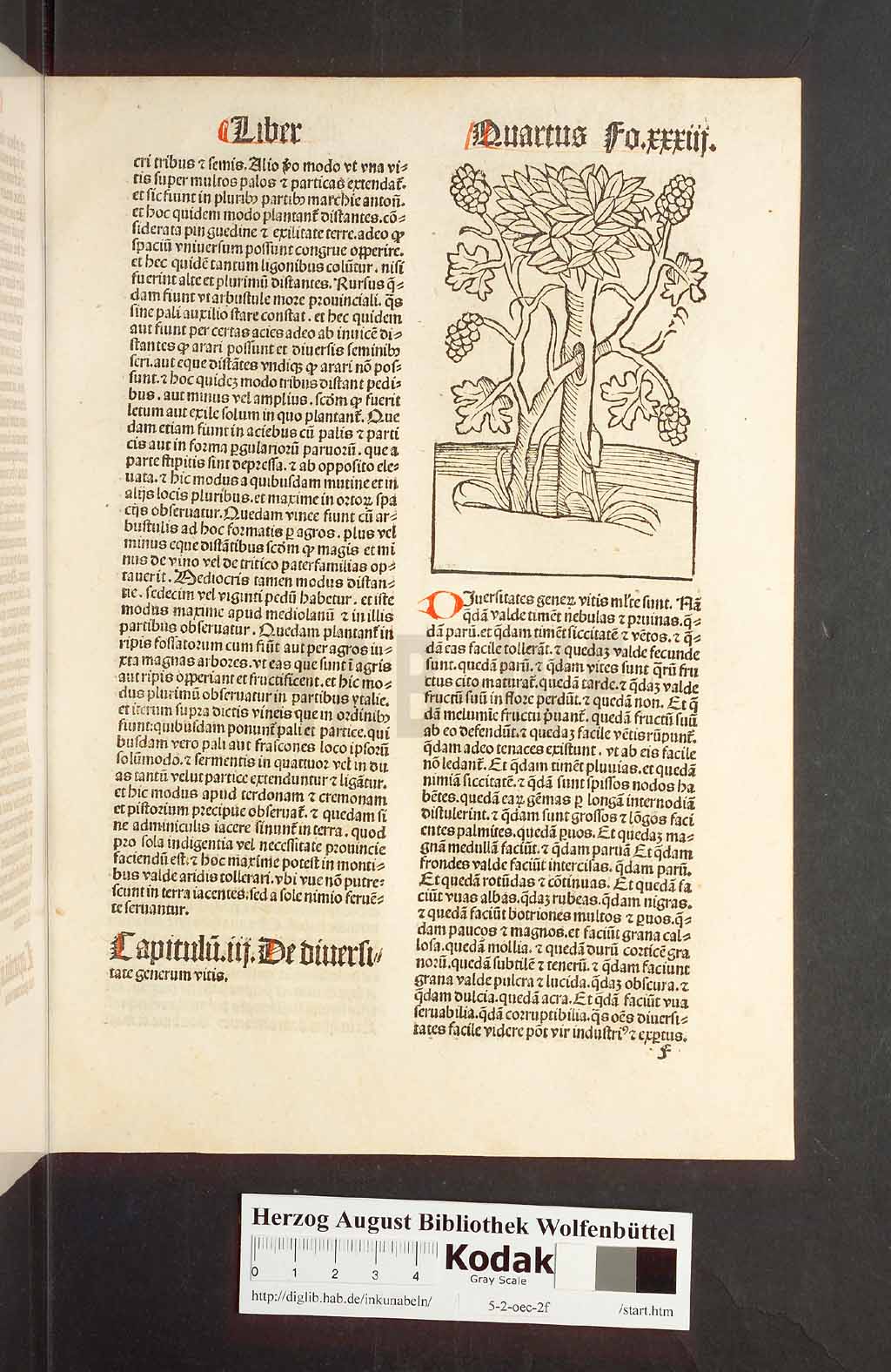 http://diglib.hab.de/inkunabeln/5-2-oec-2f/00069.jpg