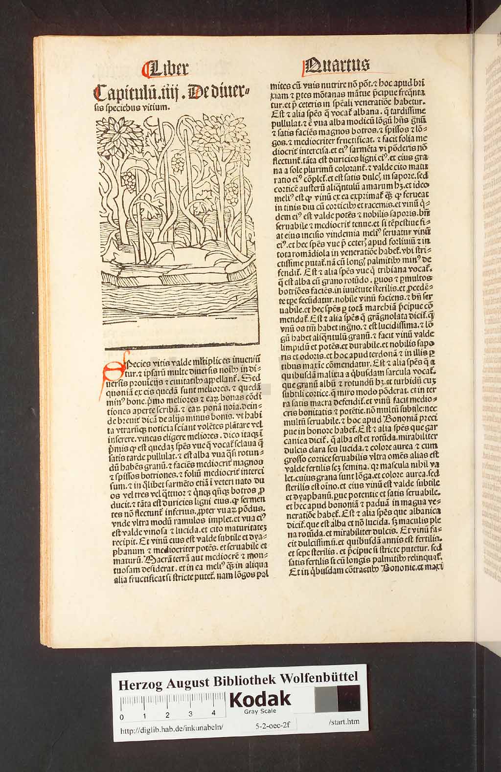 http://diglib.hab.de/inkunabeln/5-2-oec-2f/00070.jpg