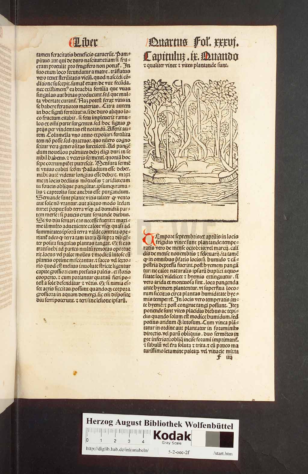 http://diglib.hab.de/inkunabeln/5-2-oec-2f/00075.jpg