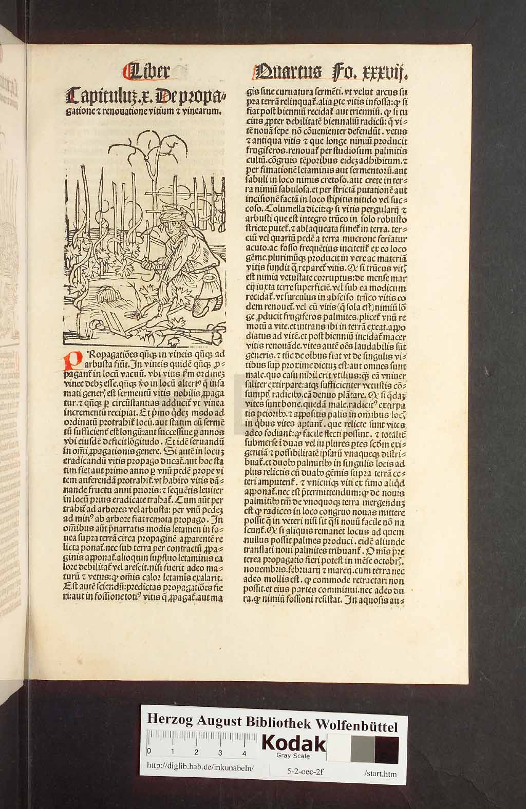 http://diglib.hab.de/inkunabeln/5-2-oec-2f/00077.jpg