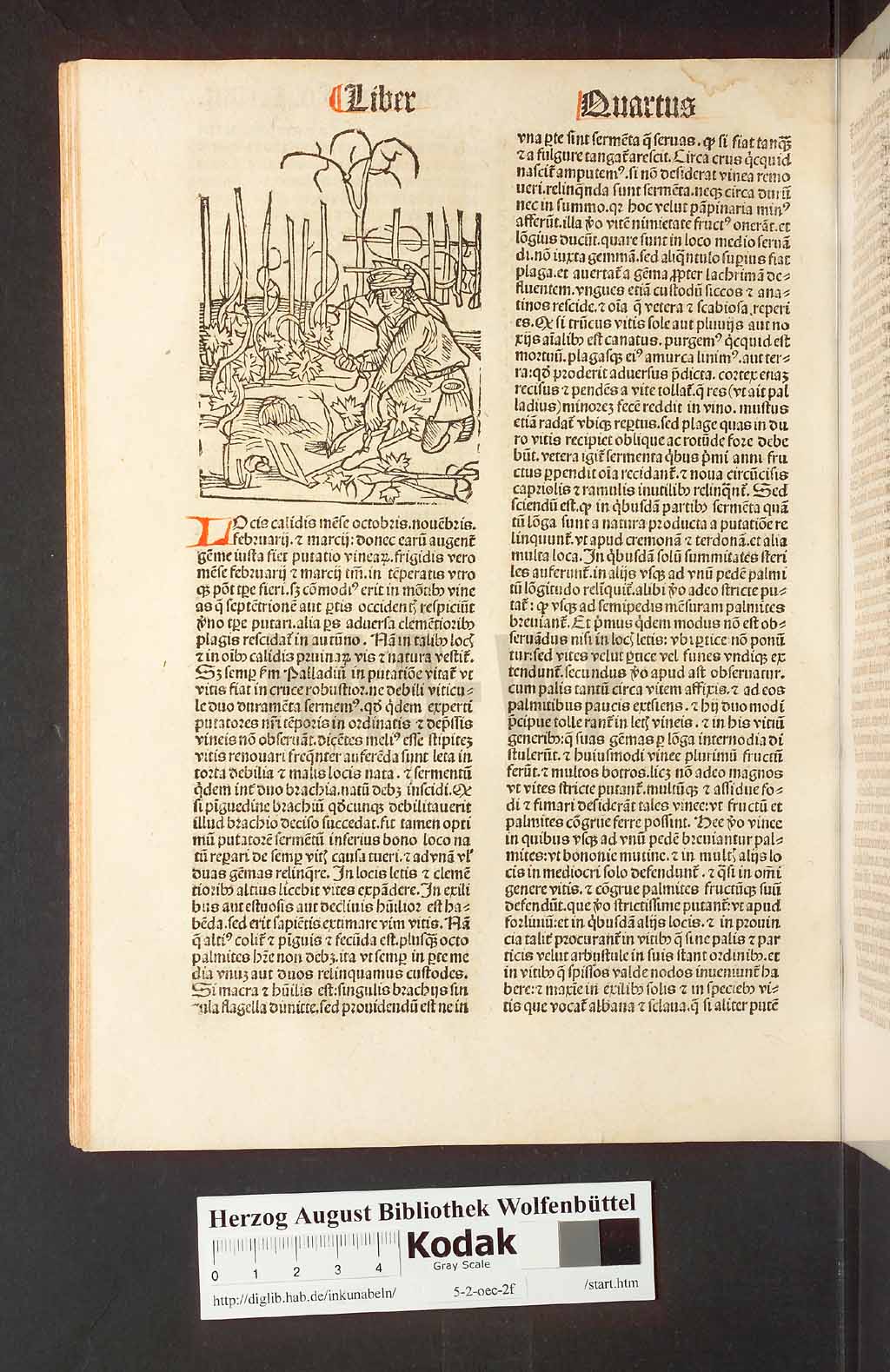 http://diglib.hab.de/inkunabeln/5-2-oec-2f/00080.jpg