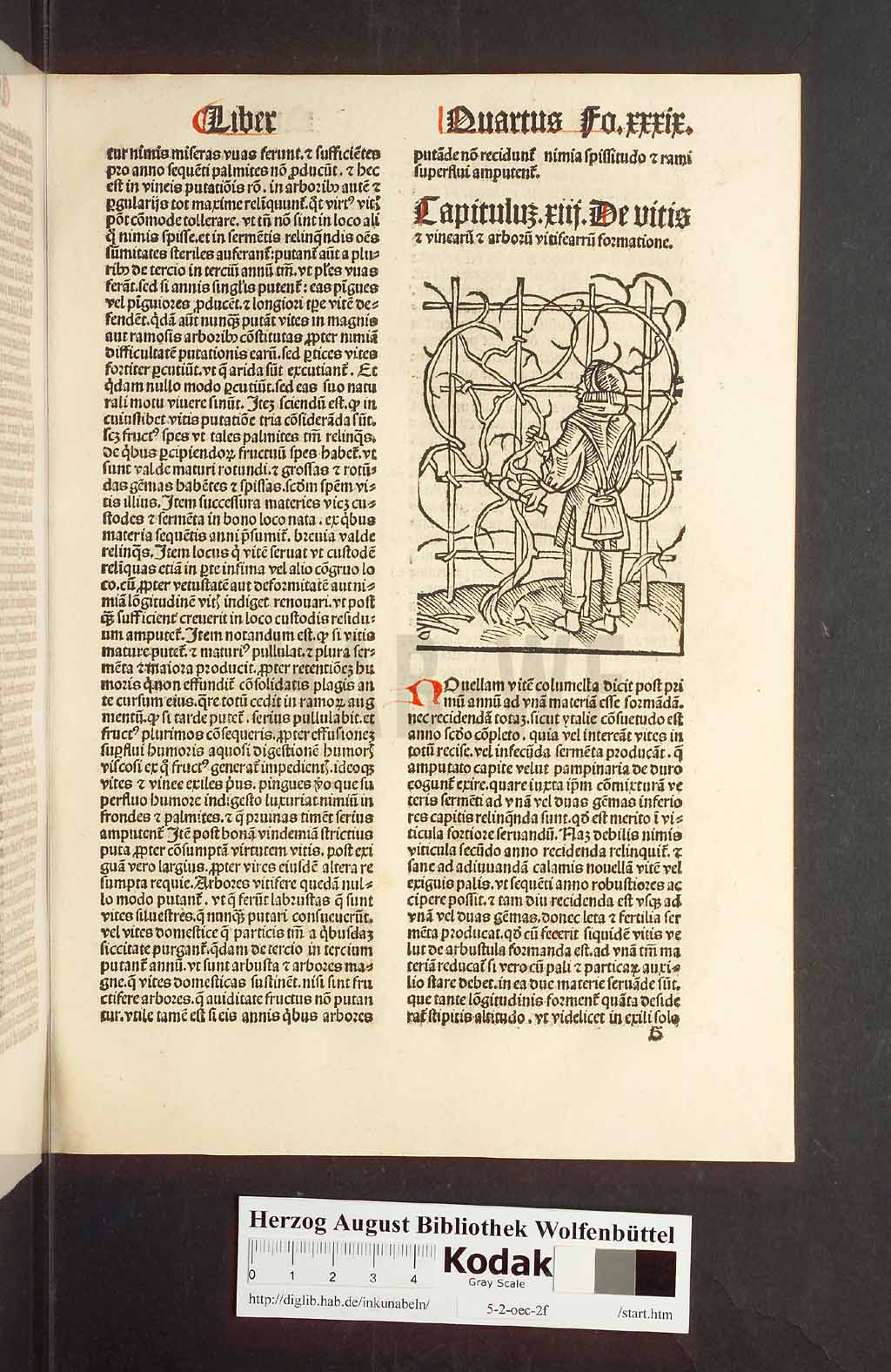 http://diglib.hab.de/inkunabeln/5-2-oec-2f/00081.jpg