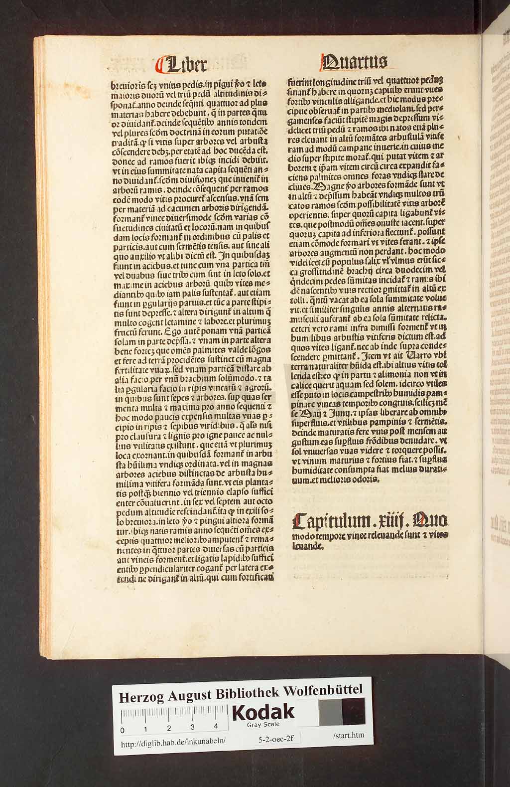 http://diglib.hab.de/inkunabeln/5-2-oec-2f/00082.jpg