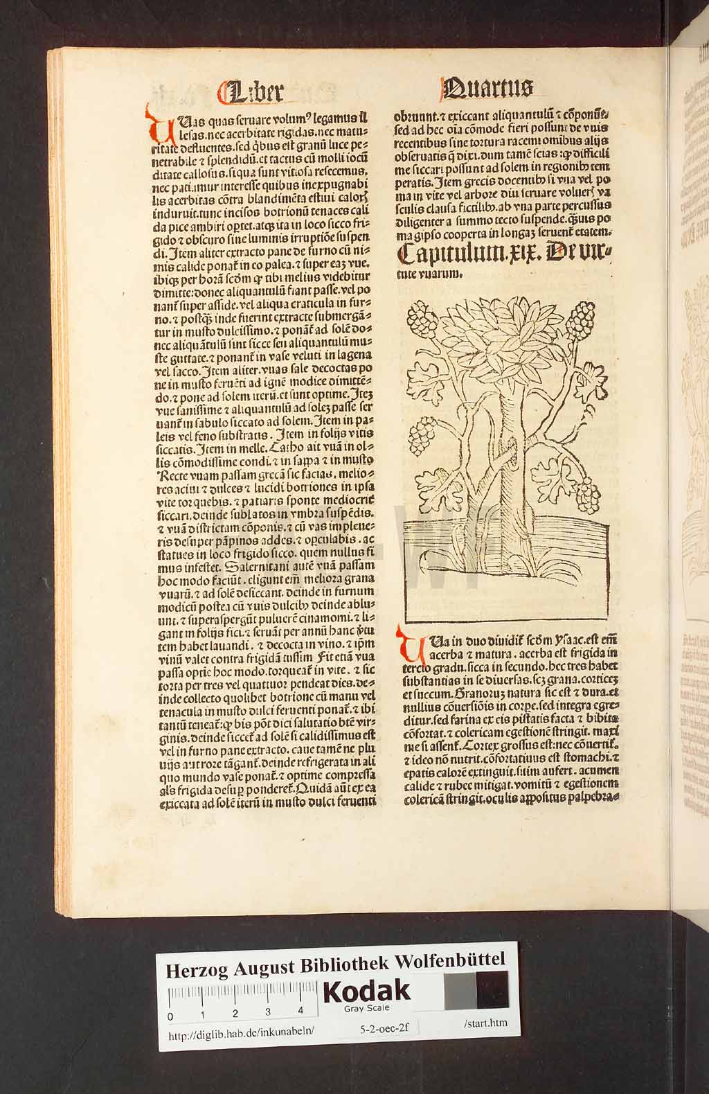 http://diglib.hab.de/inkunabeln/5-2-oec-2f/00086.jpg