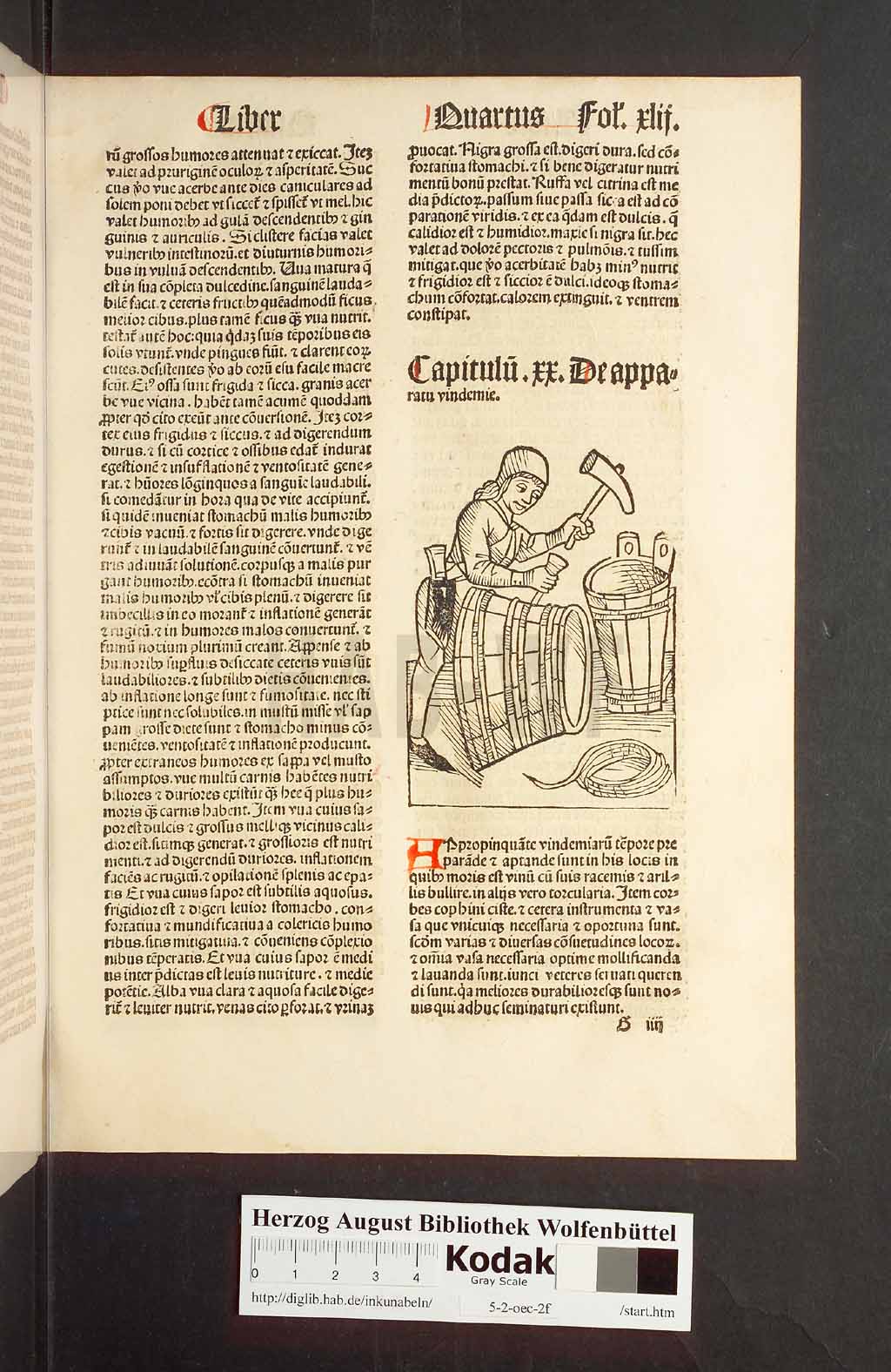http://diglib.hab.de/inkunabeln/5-2-oec-2f/00087.jpg