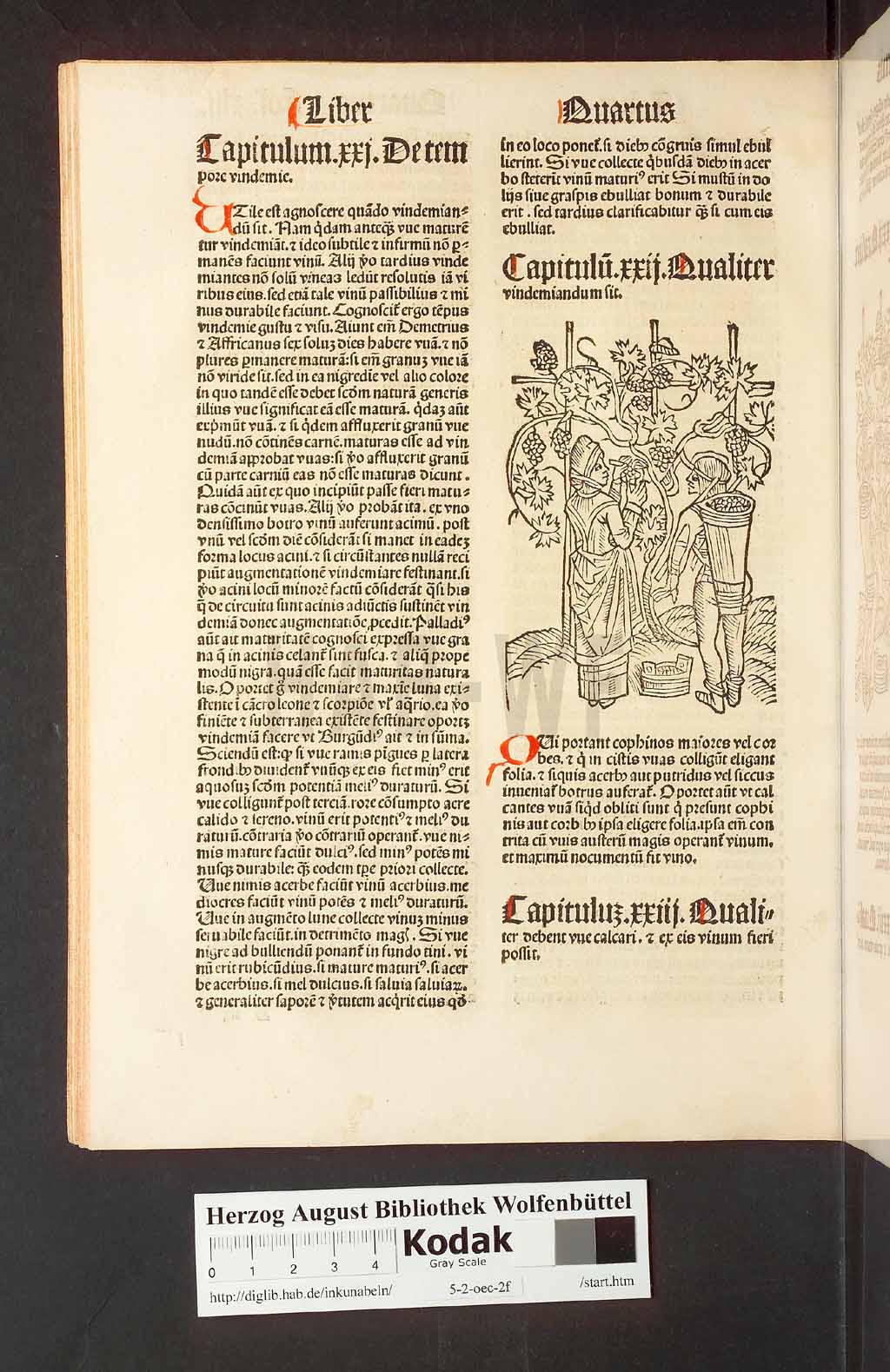 http://diglib.hab.de/inkunabeln/5-2-oec-2f/00088.jpg