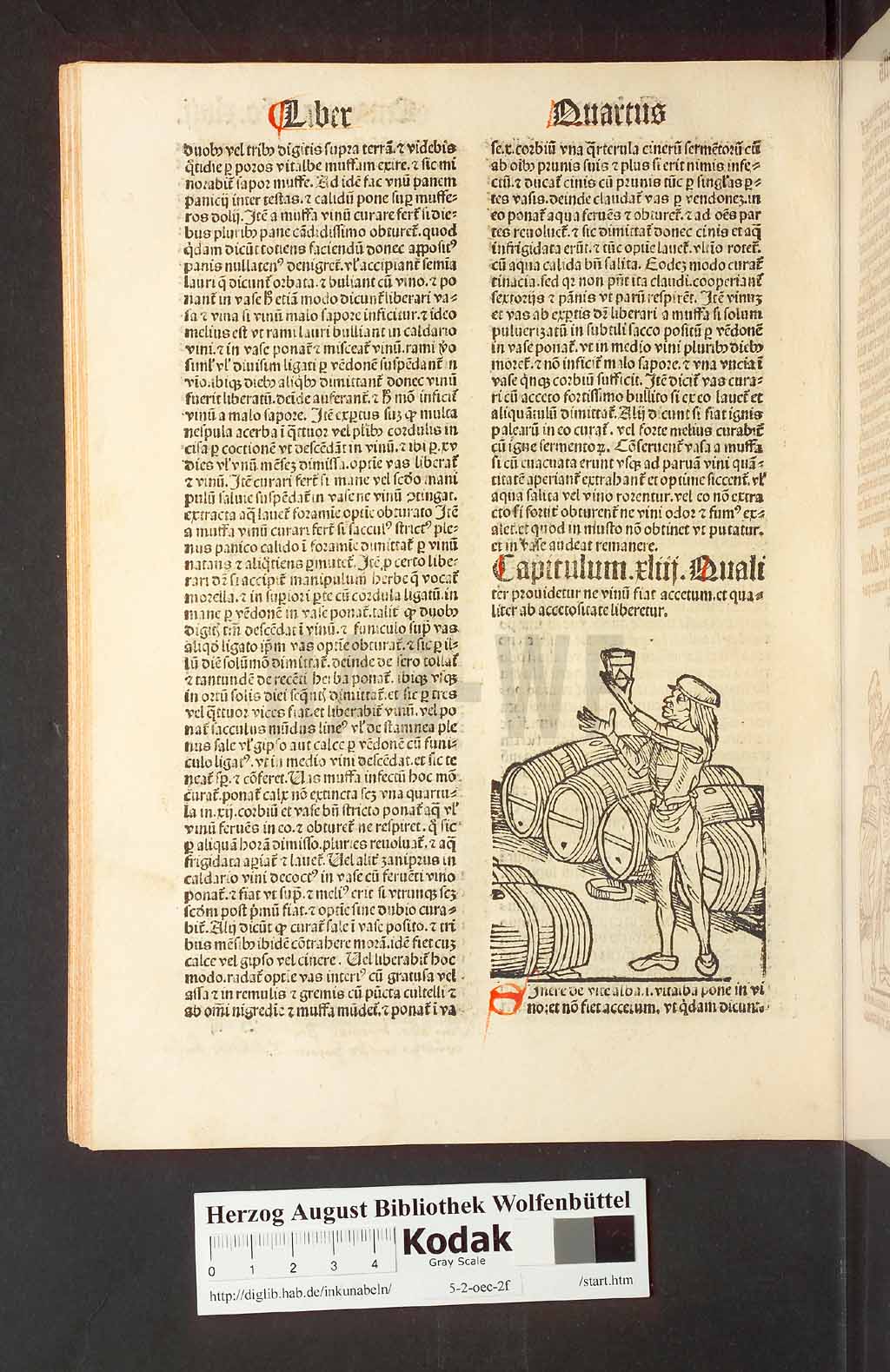http://diglib.hab.de/inkunabeln/5-2-oec-2f/00098.jpg