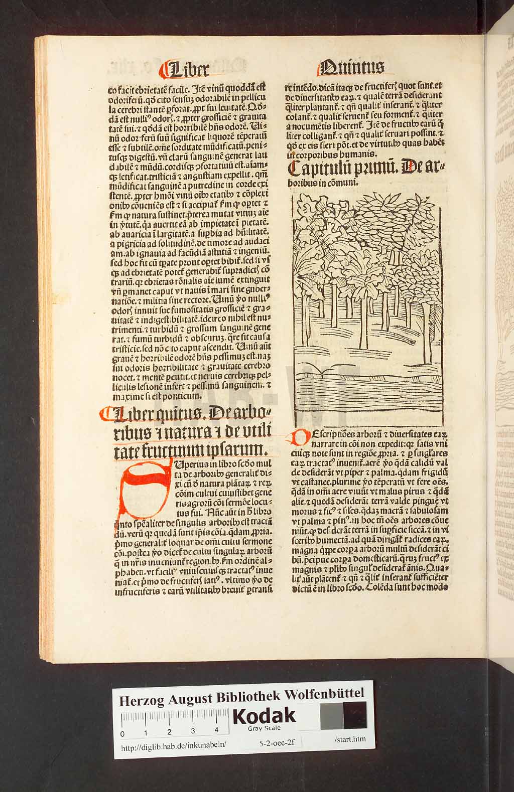 http://diglib.hab.de/inkunabeln/5-2-oec-2f/00102.jpg