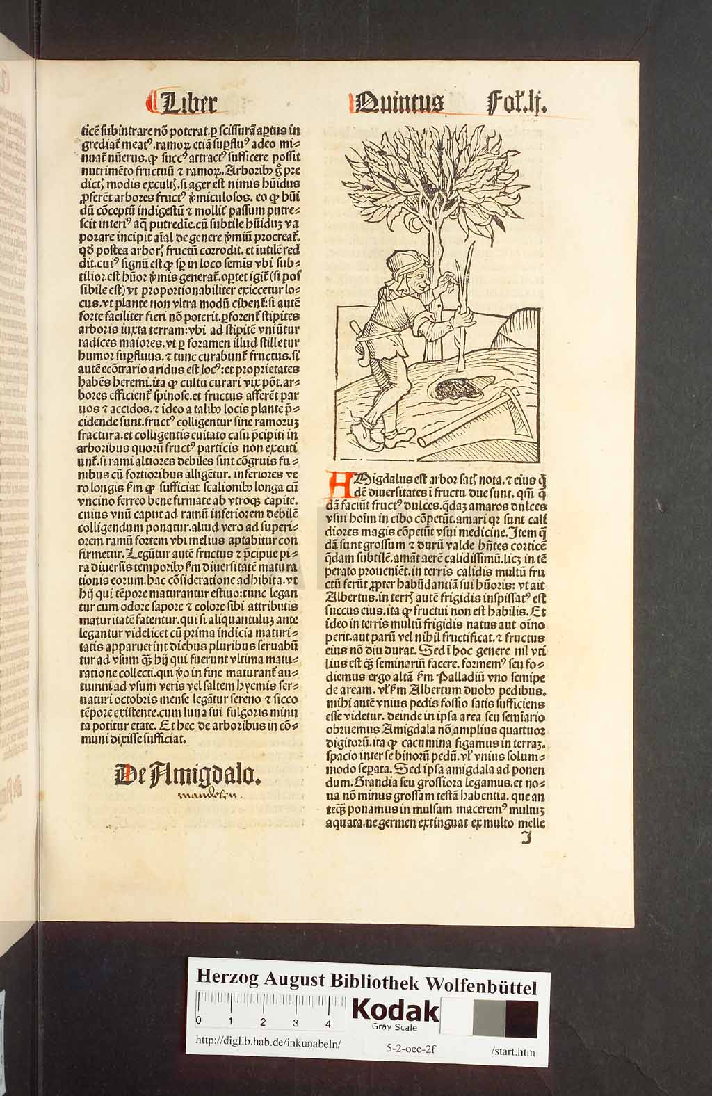 http://diglib.hab.de/inkunabeln/5-2-oec-2f/00105.jpg