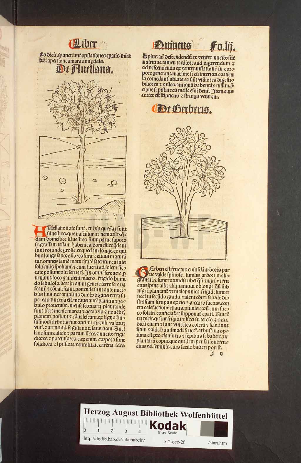 http://diglib.hab.de/inkunabeln/5-2-oec-2f/00107.jpg