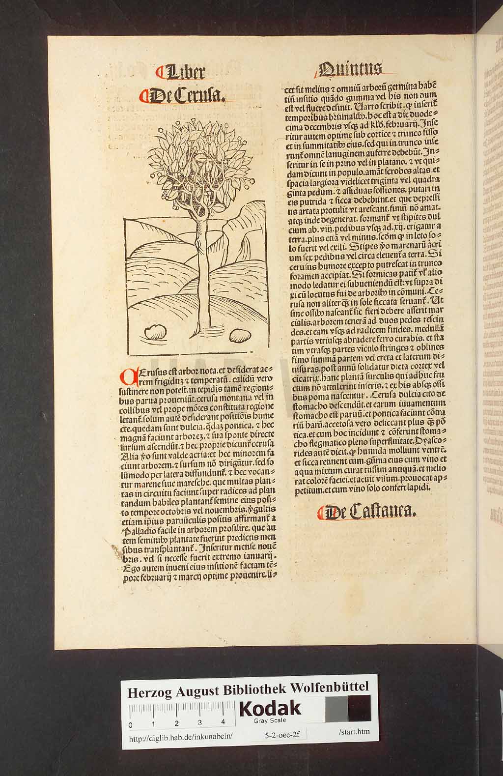 http://diglib.hab.de/inkunabeln/5-2-oec-2f/00108.jpg