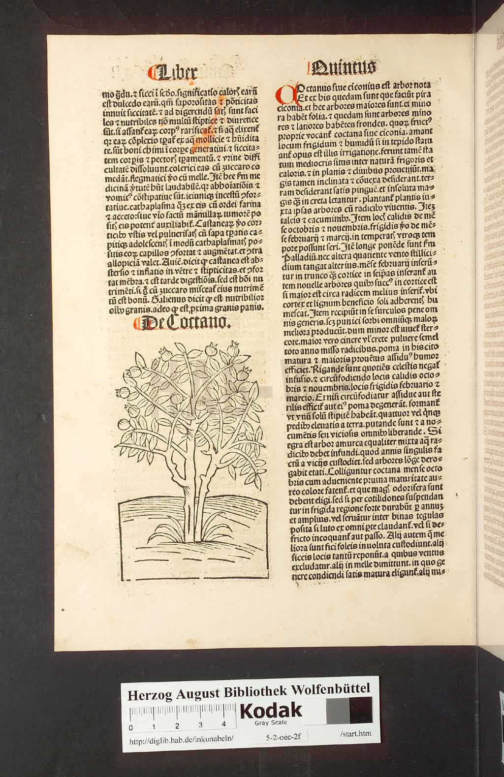 http://diglib.hab.de/inkunabeln/5-2-oec-2f/00110.jpg