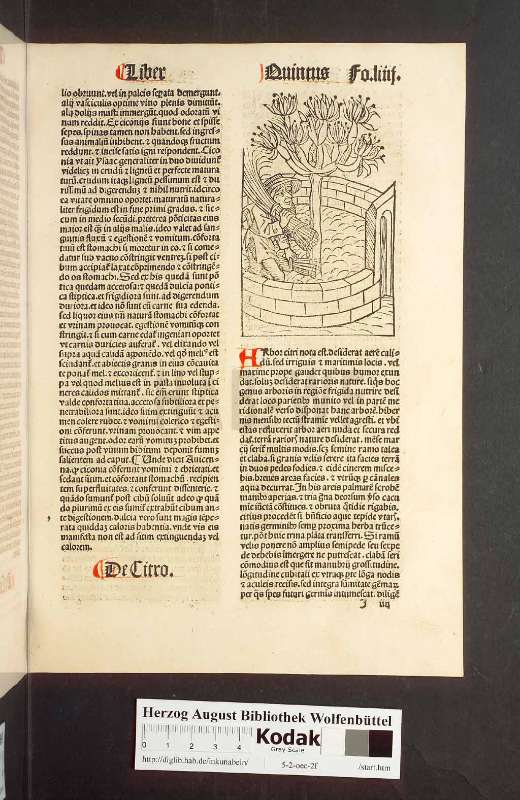 http://diglib.hab.de/inkunabeln/5-2-oec-2f/00111.jpg