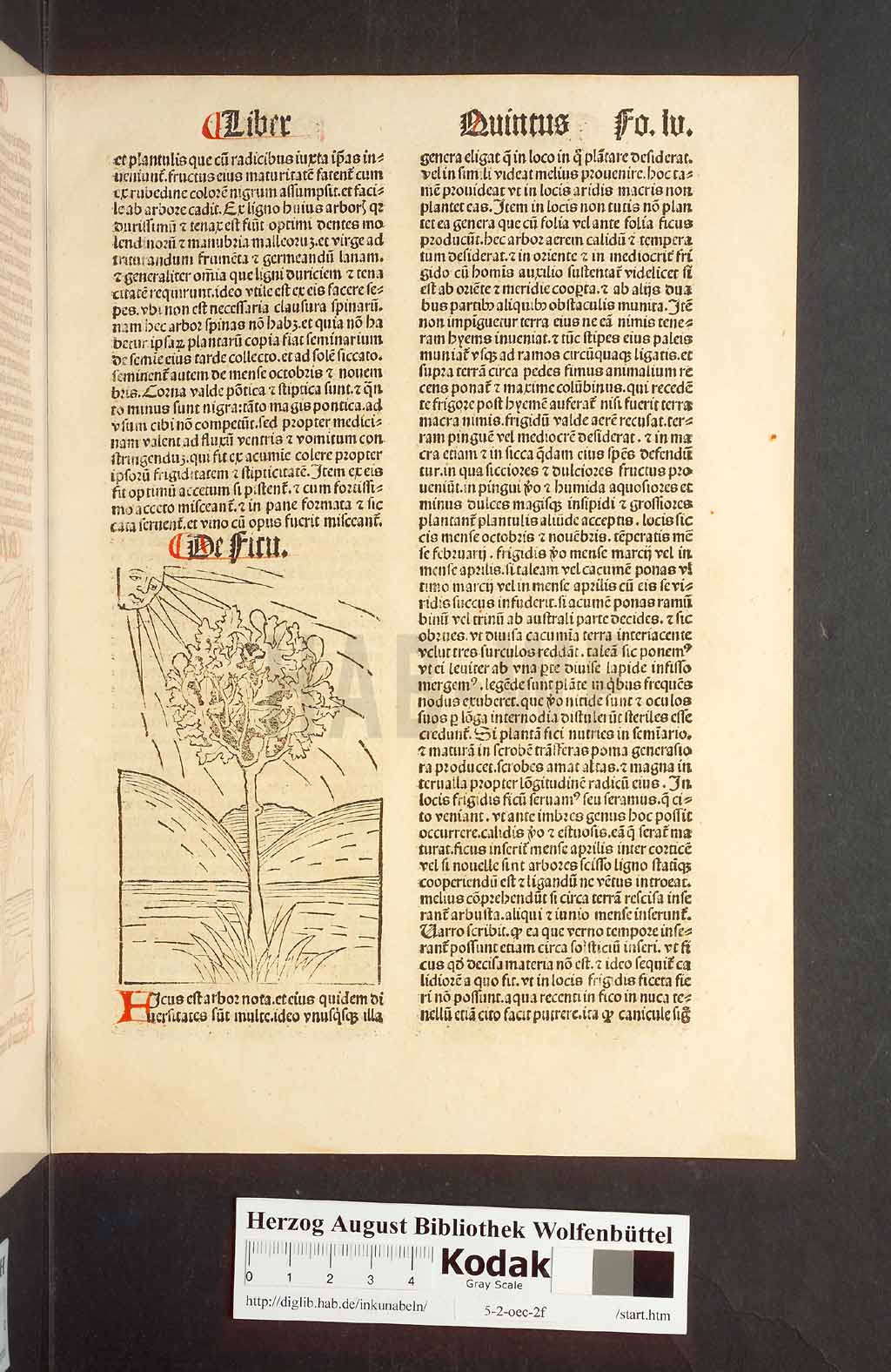 http://diglib.hab.de/inkunabeln/5-2-oec-2f/00113.jpg