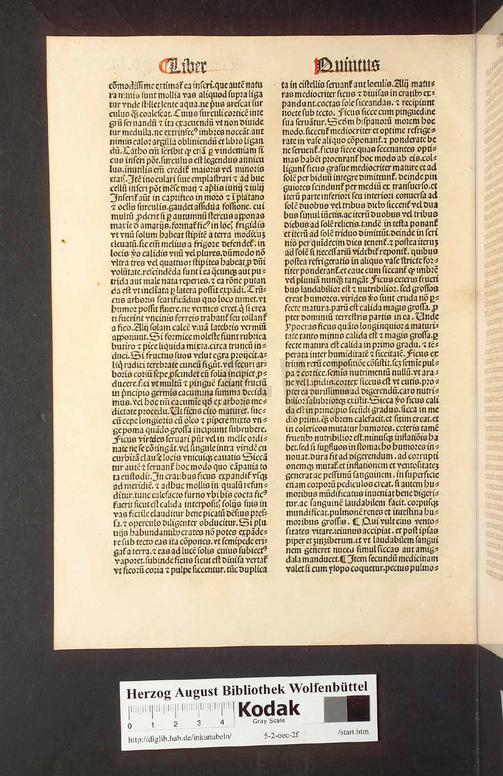 http://diglib.hab.de/inkunabeln/5-2-oec-2f/00114.jpg