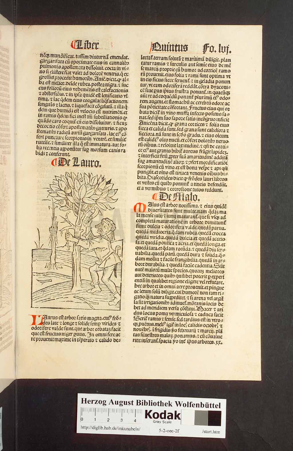 http://diglib.hab.de/inkunabeln/5-2-oec-2f/00115.jpg