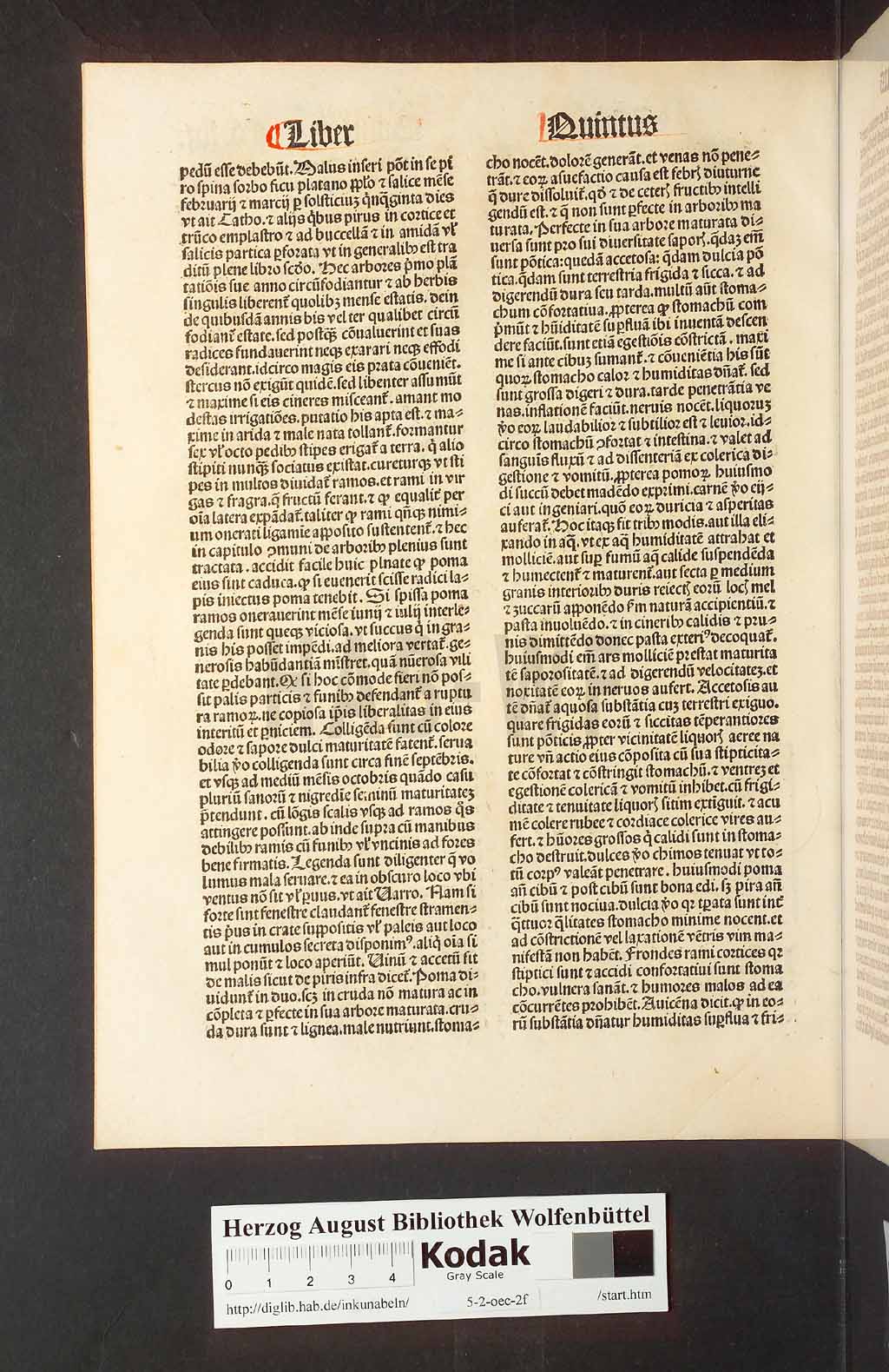 http://diglib.hab.de/inkunabeln/5-2-oec-2f/00116.jpg