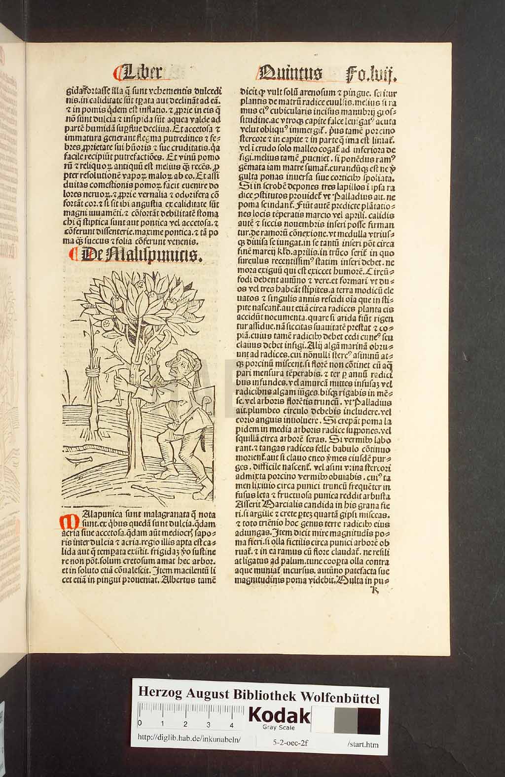 http://diglib.hab.de/inkunabeln/5-2-oec-2f/00117.jpg