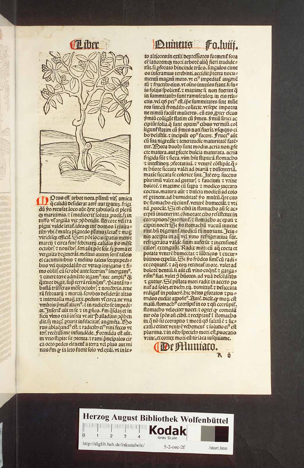 http://diglib.hab.de/inkunabeln/5-2-oec-2f/00119.jpg