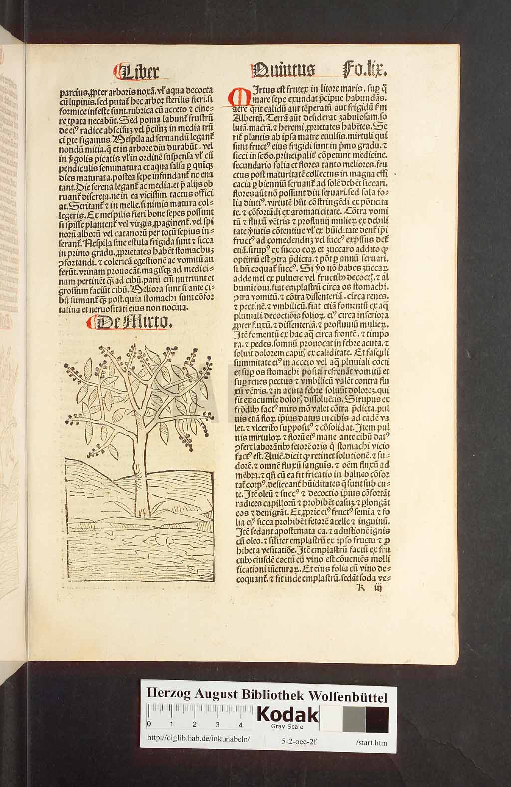 http://diglib.hab.de/inkunabeln/5-2-oec-2f/00121.jpg