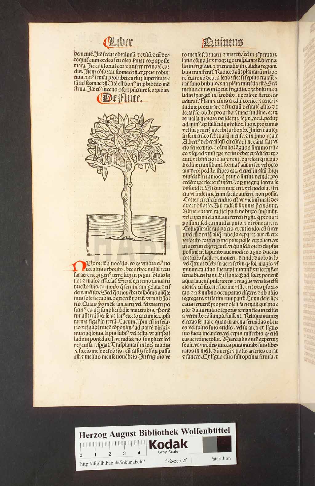 http://diglib.hab.de/inkunabeln/5-2-oec-2f/00122.jpg