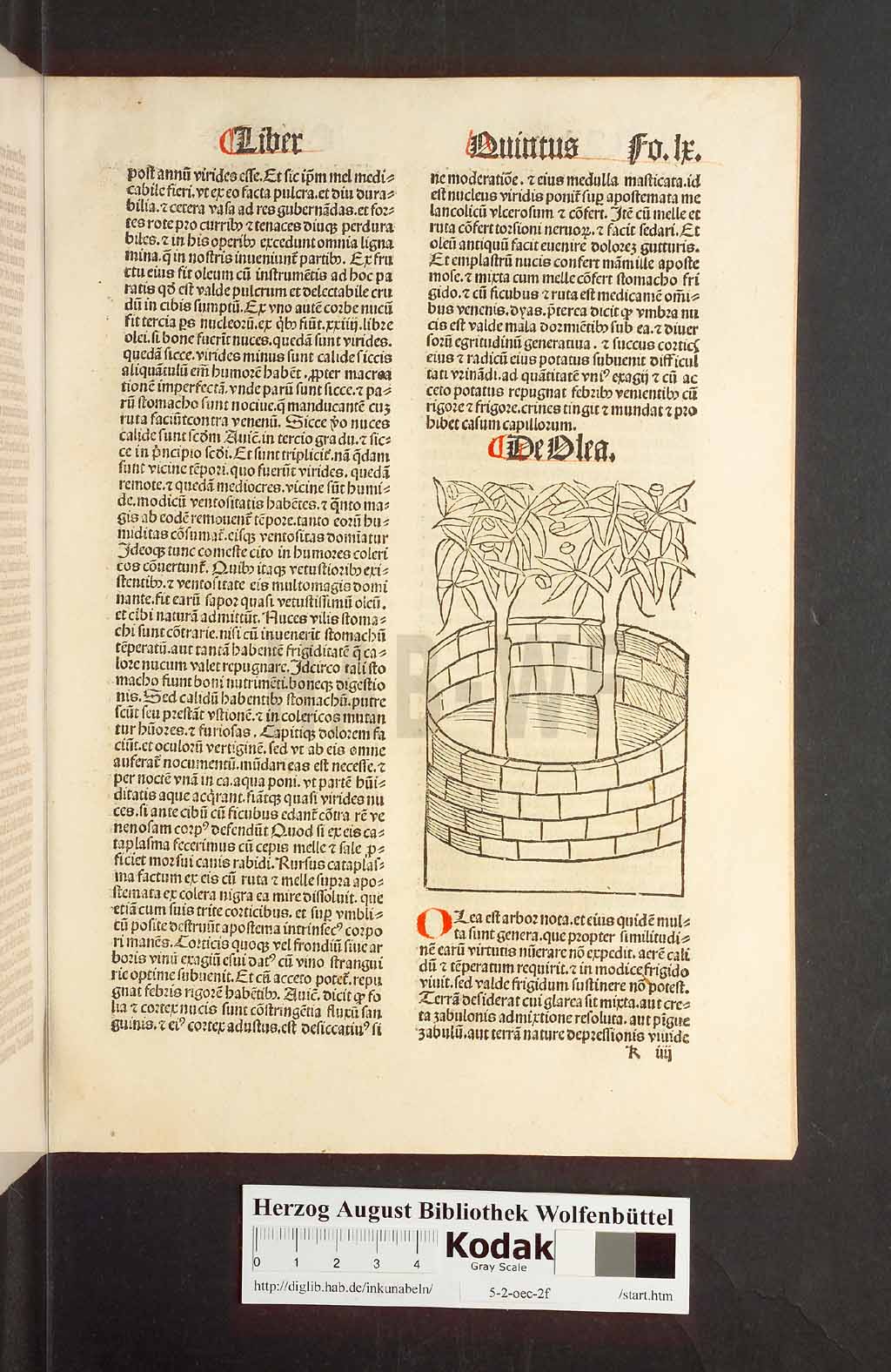 http://diglib.hab.de/inkunabeln/5-2-oec-2f/00123.jpg