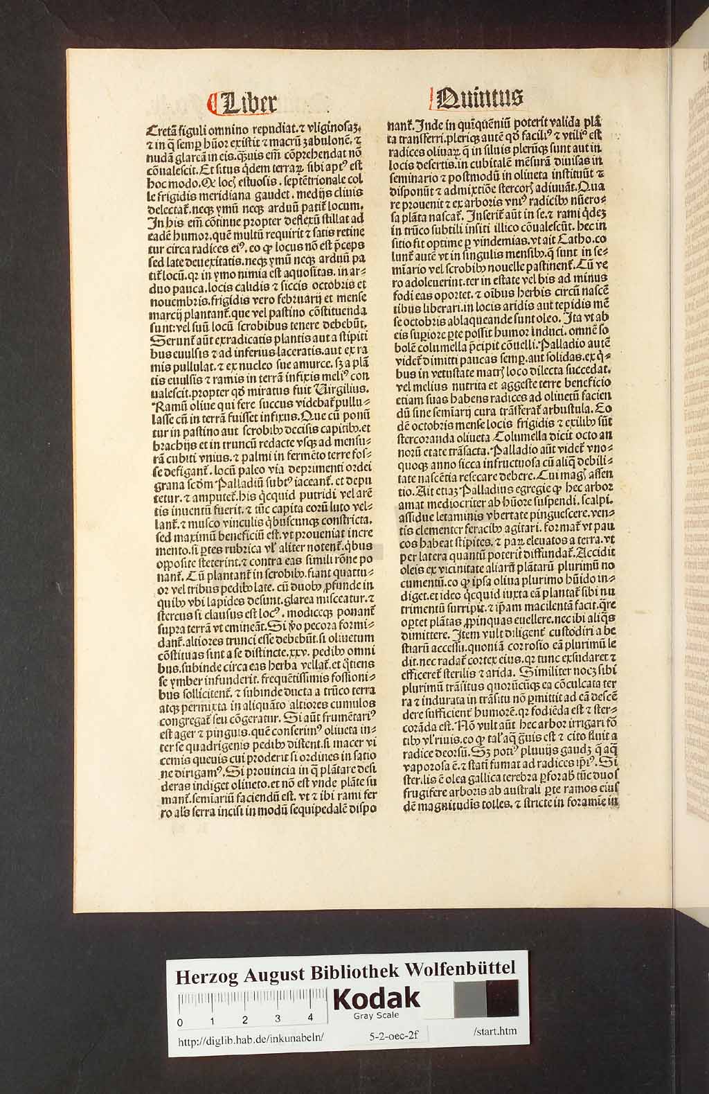 http://diglib.hab.de/inkunabeln/5-2-oec-2f/00124.jpg