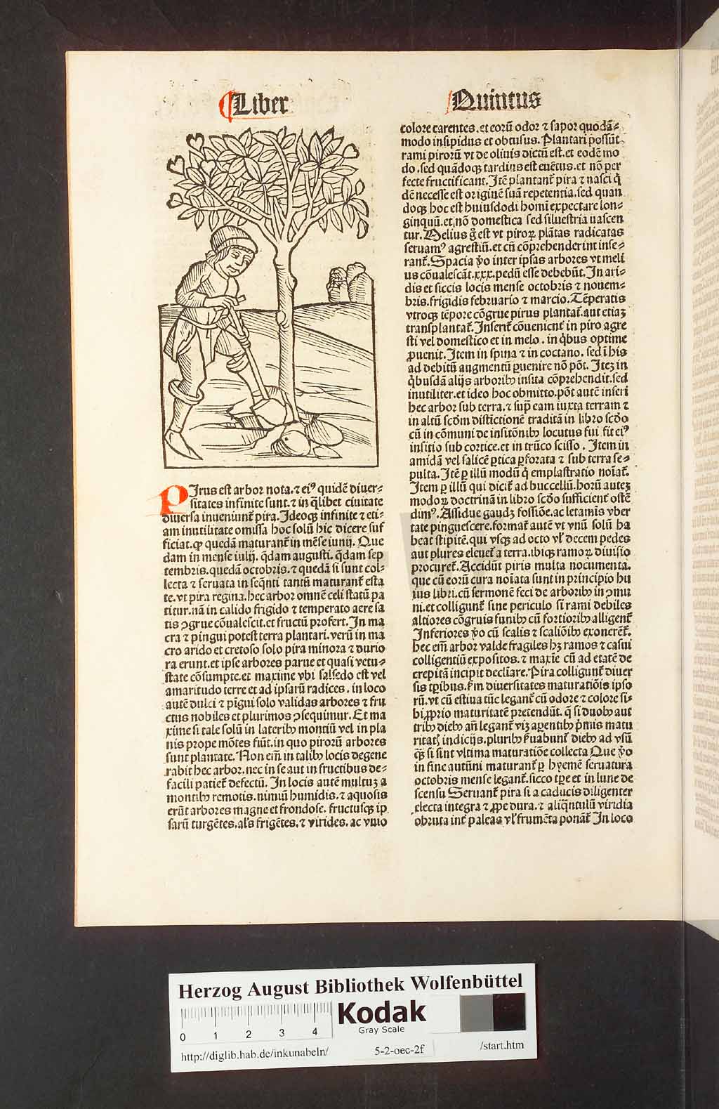 http://diglib.hab.de/inkunabeln/5-2-oec-2f/00126.jpg