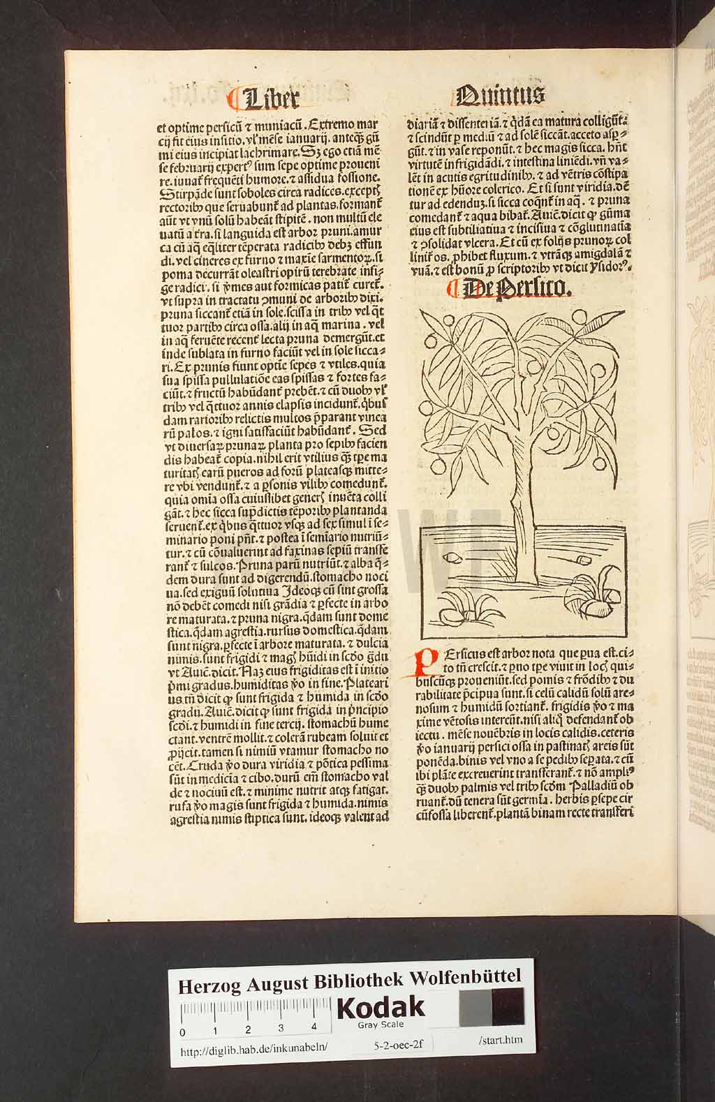 http://diglib.hab.de/inkunabeln/5-2-oec-2f/00128.jpg