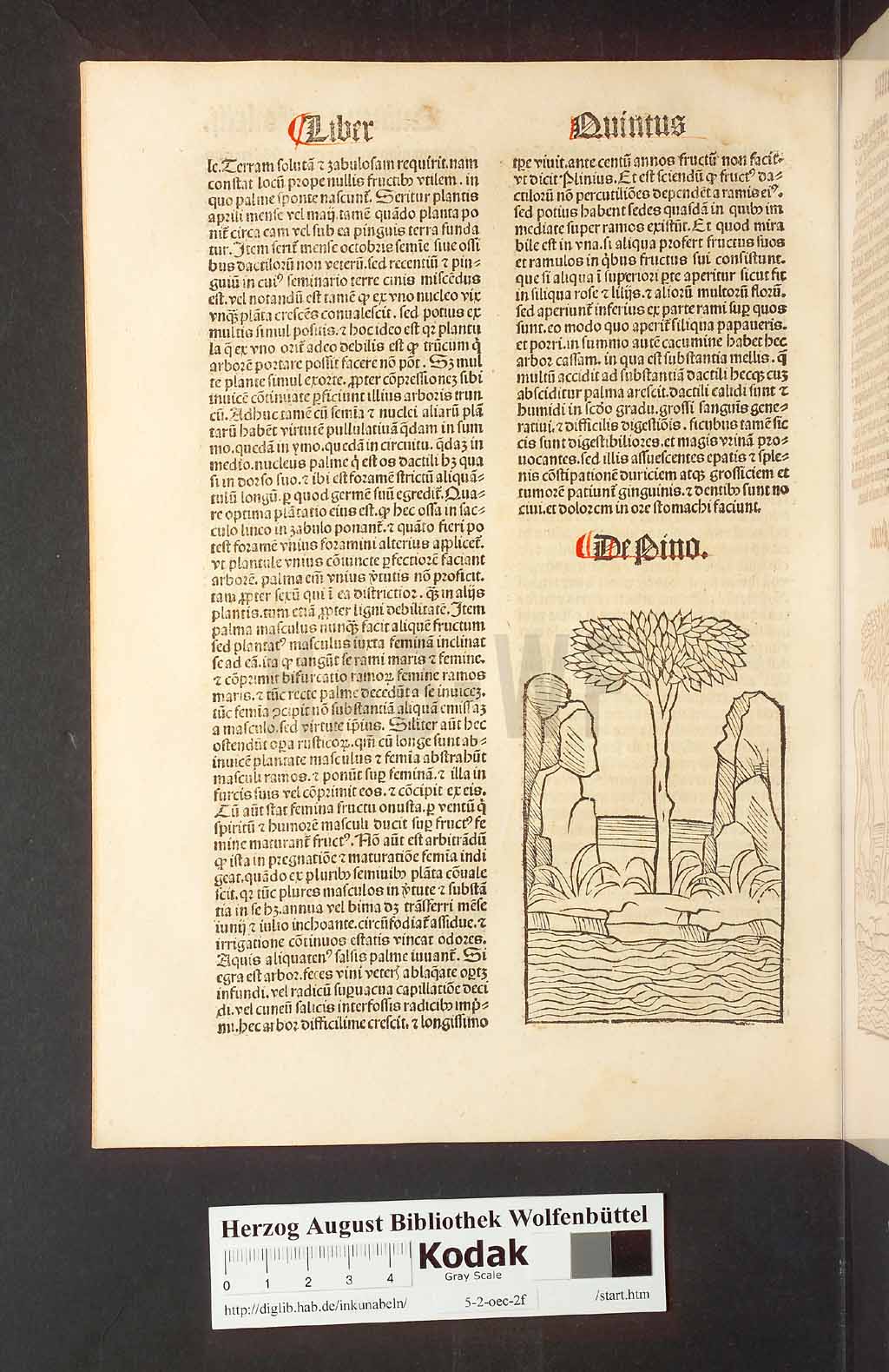http://diglib.hab.de/inkunabeln/5-2-oec-2f/00130.jpg