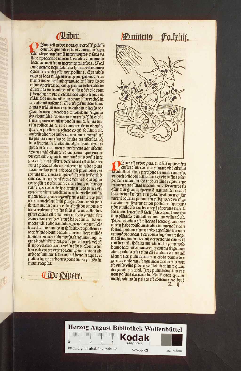 http://diglib.hab.de/inkunabeln/5-2-oec-2f/00131.jpg
