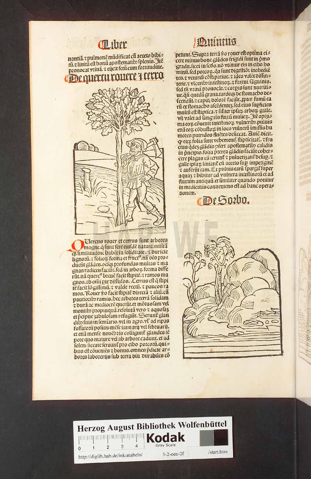http://diglib.hab.de/inkunabeln/5-2-oec-2f/00132.jpg