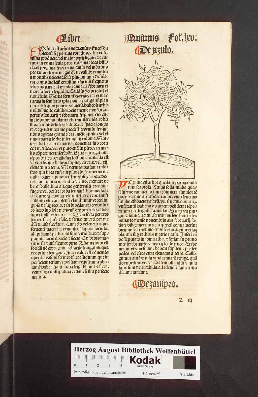 http://diglib.hab.de/inkunabeln/5-2-oec-2f/00133.jpg