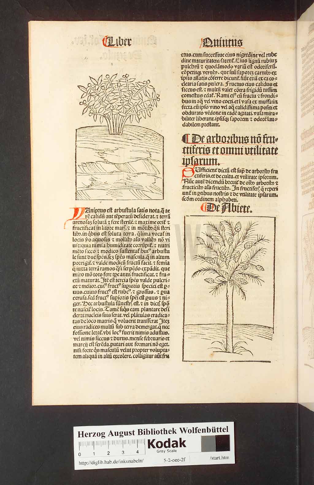 http://diglib.hab.de/inkunabeln/5-2-oec-2f/00134.jpg