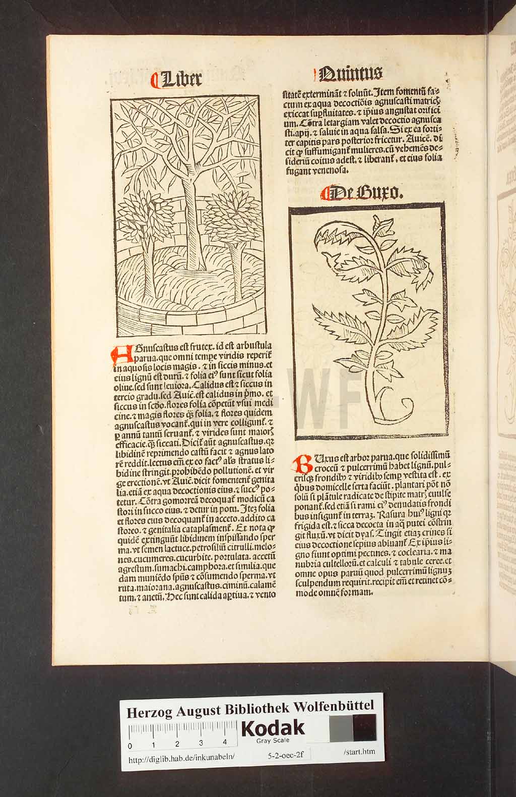 http://diglib.hab.de/inkunabeln/5-2-oec-2f/00136.jpg
