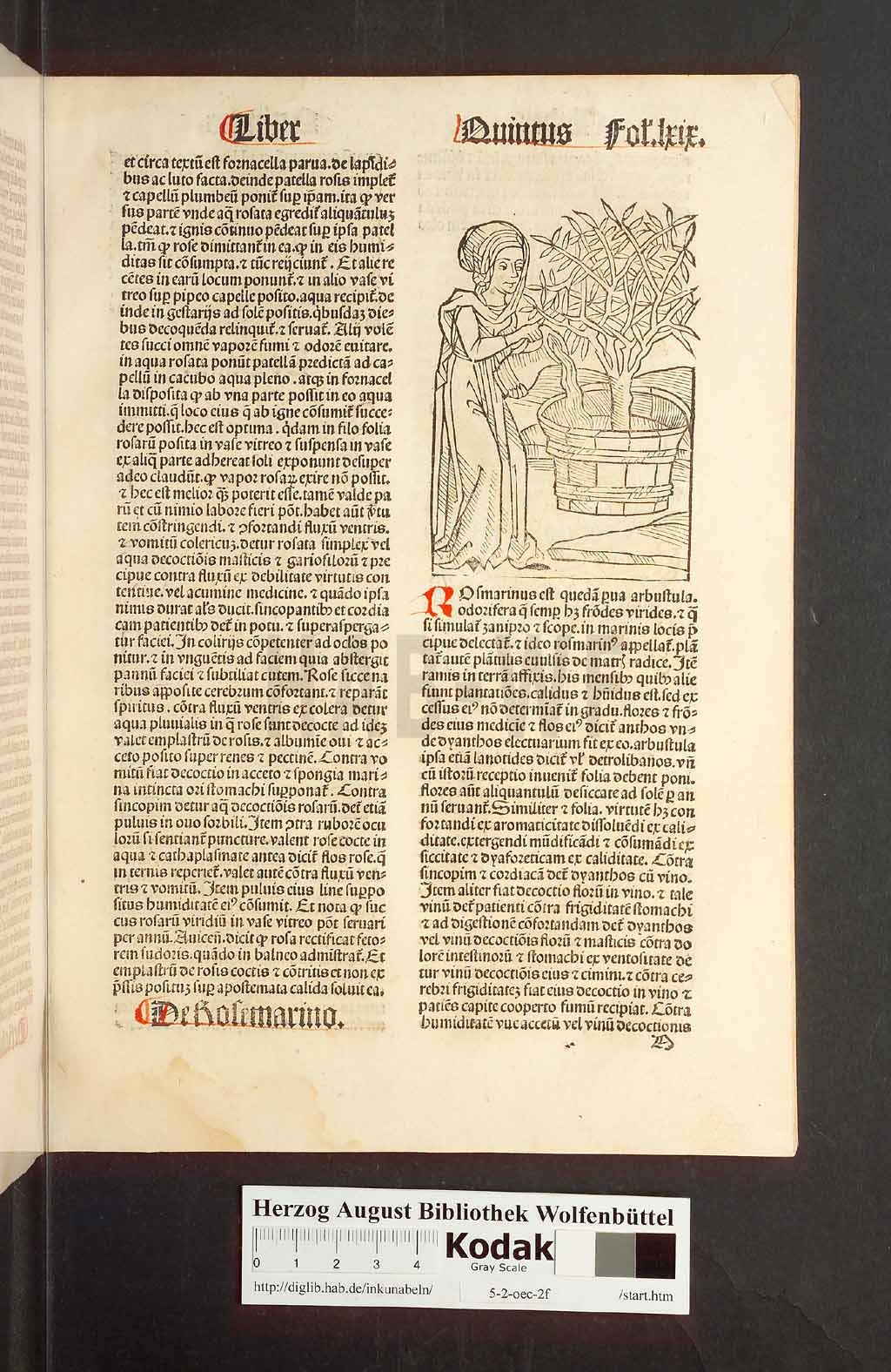 http://diglib.hab.de/inkunabeln/5-2-oec-2f/00141.jpg