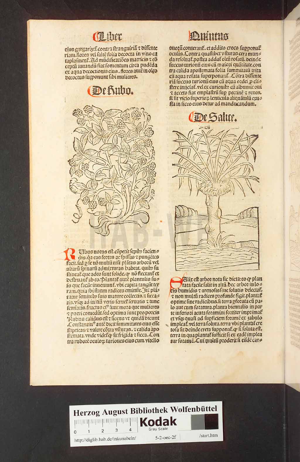 http://diglib.hab.de/inkunabeln/5-2-oec-2f/00142.jpg